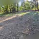 Forest Road 535 - East