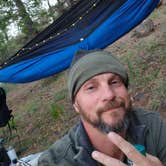 Review photo of Forest Road 535 - East by Travis H., May 15, 2026