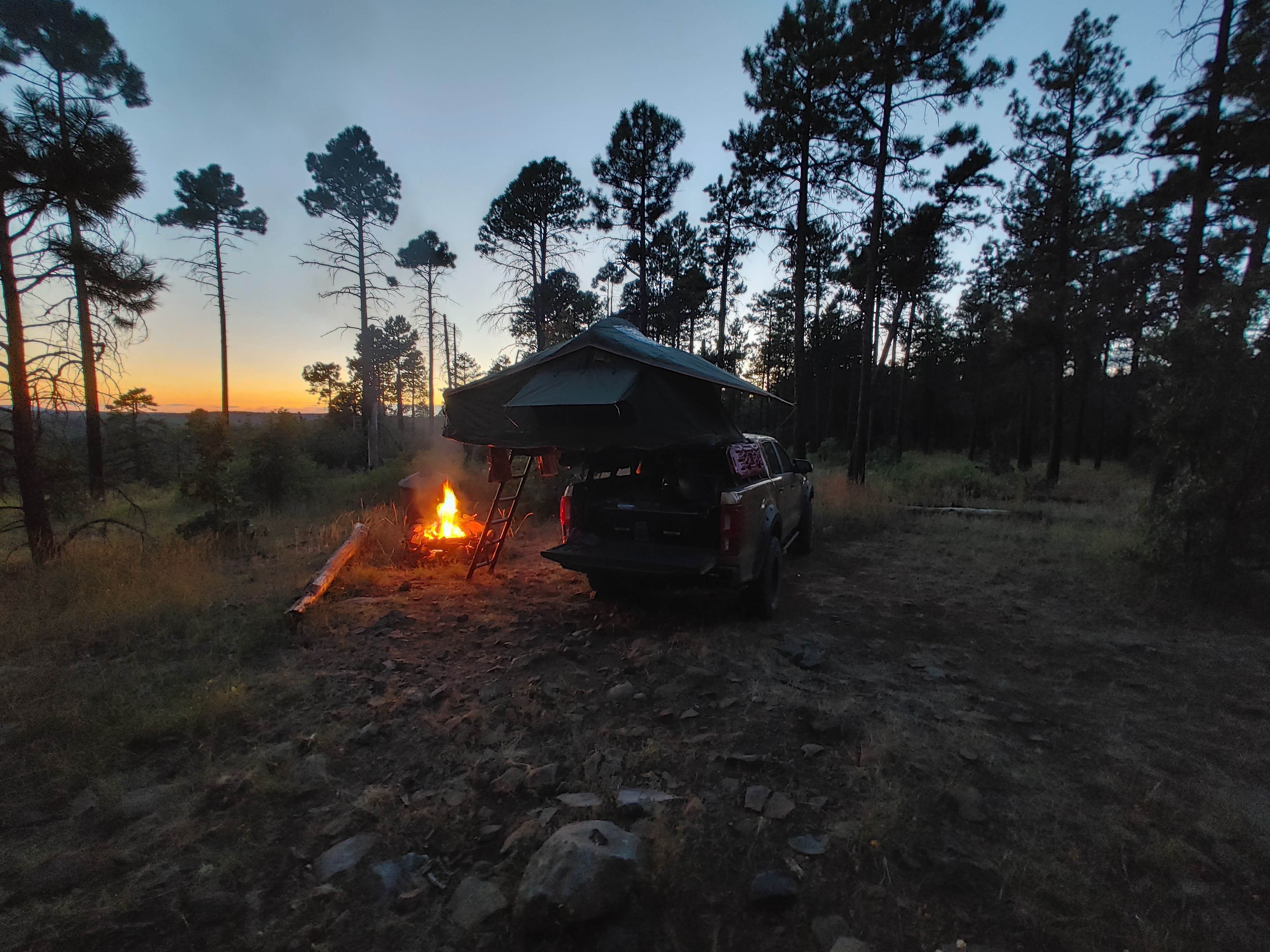 Camper-submitted photo at Forest Road 535 near Flagstaff, AZ