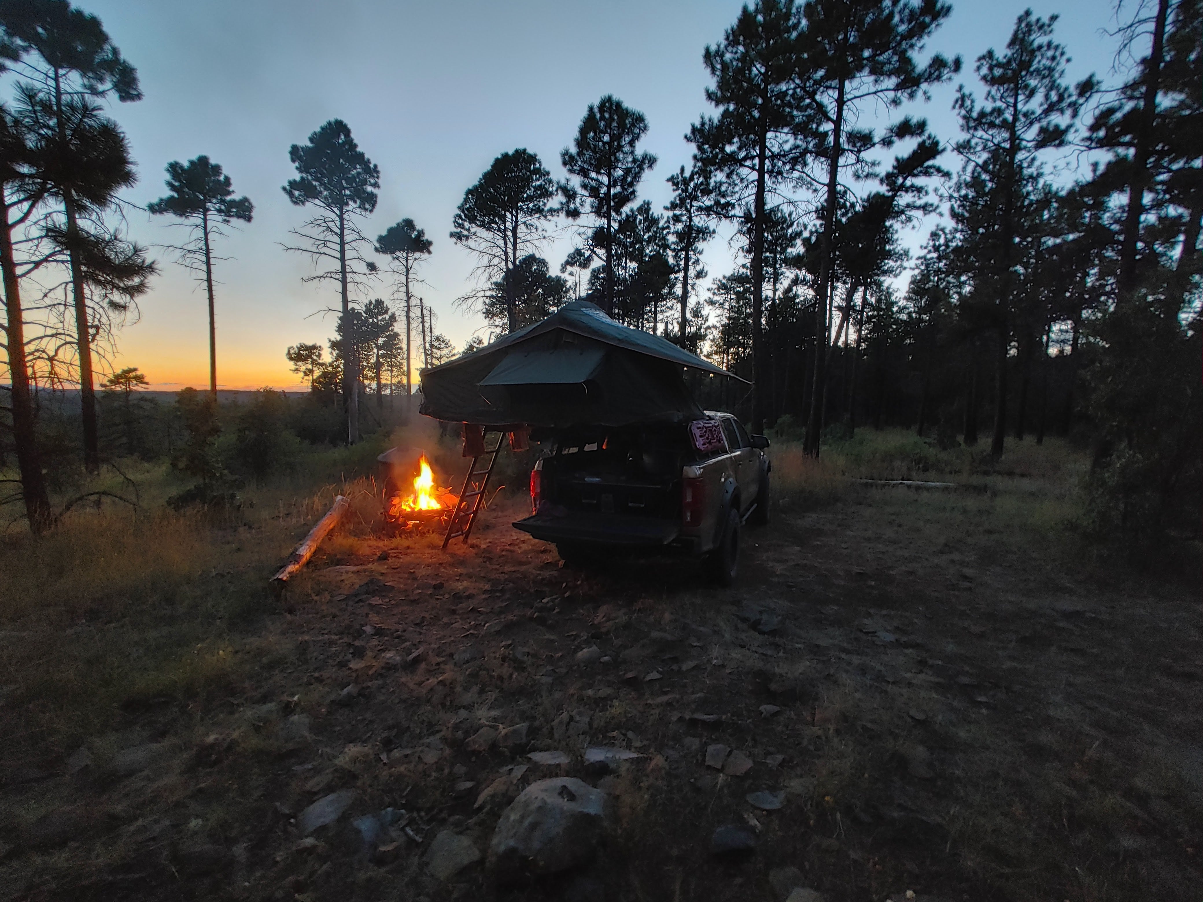 Camper submitted image from Forest Road 535 - 4