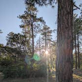 Review photo of Forest Road 535 by Ashley H., June 27, 2025