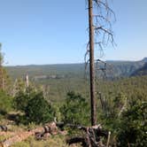 Review photo of Forest Road 535 by Ashley H., June 27, 2025