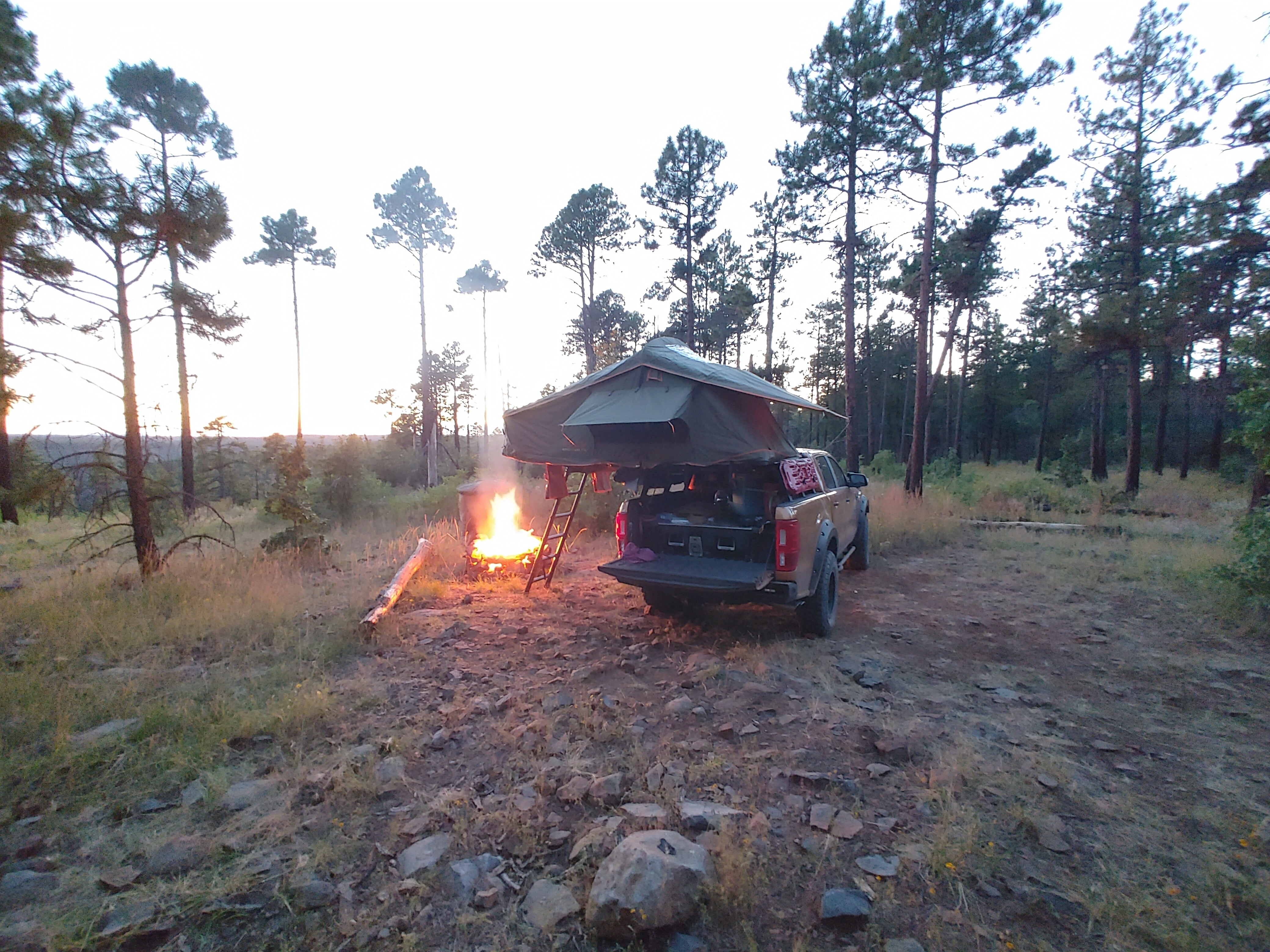 Camper submitted image from Forest Road 535 - 3
