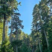 Review photo of Forest Road 55 Pulloff by Rowen S., July 27, 2025