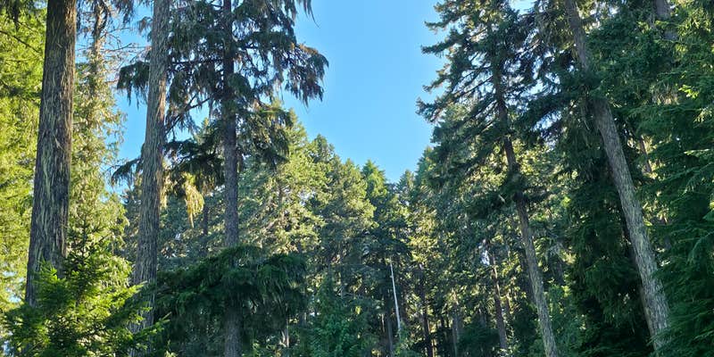 Camper submitted image from Forest Road 55 Pulloff