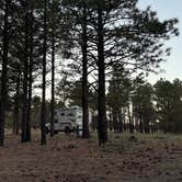 Review photo of Forest Road 552 by GIna G., October 6, 2025