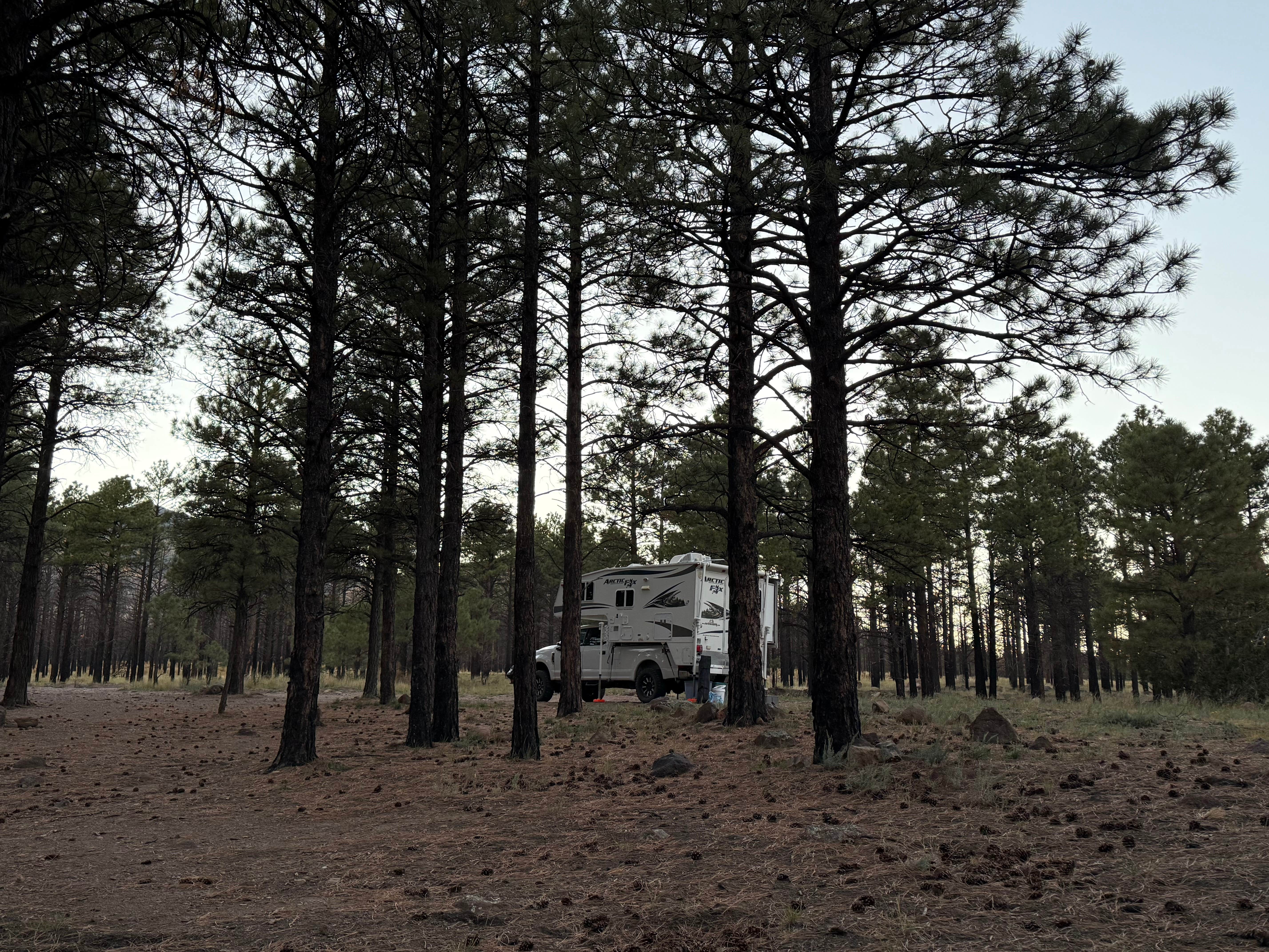 Camper submitted image from Forest Road 552 - 5