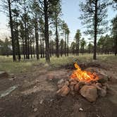 Review photo of Forest Road 552 by GIna G., October 6, 2025