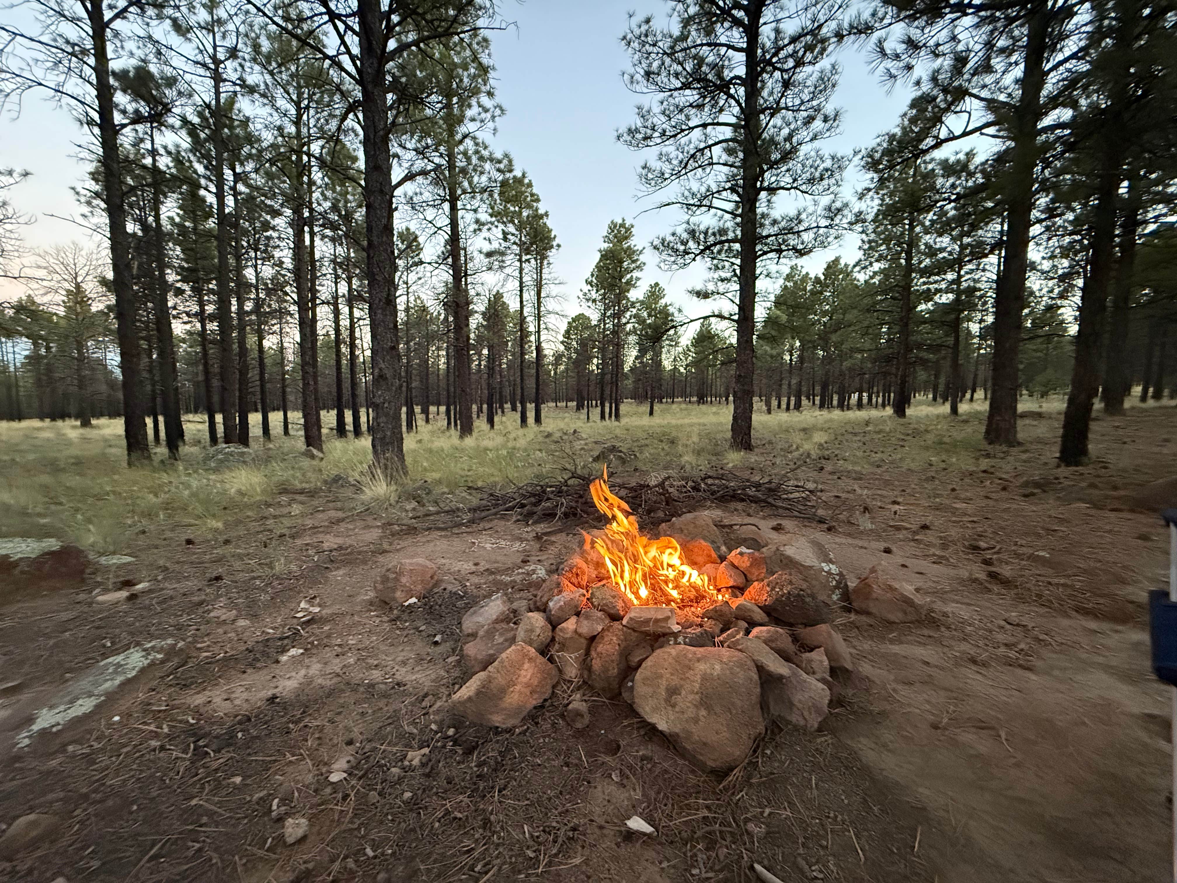 Camper submitted image from Forest Road 552 - 1