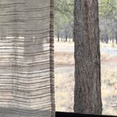 Review photo of Forest Road 552 by Ashley D., February 11, 2026