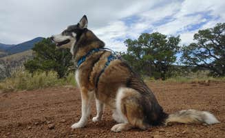 Brandon S.'s photo of camping with pets at Forest Road 552 near Cameron, AZ
