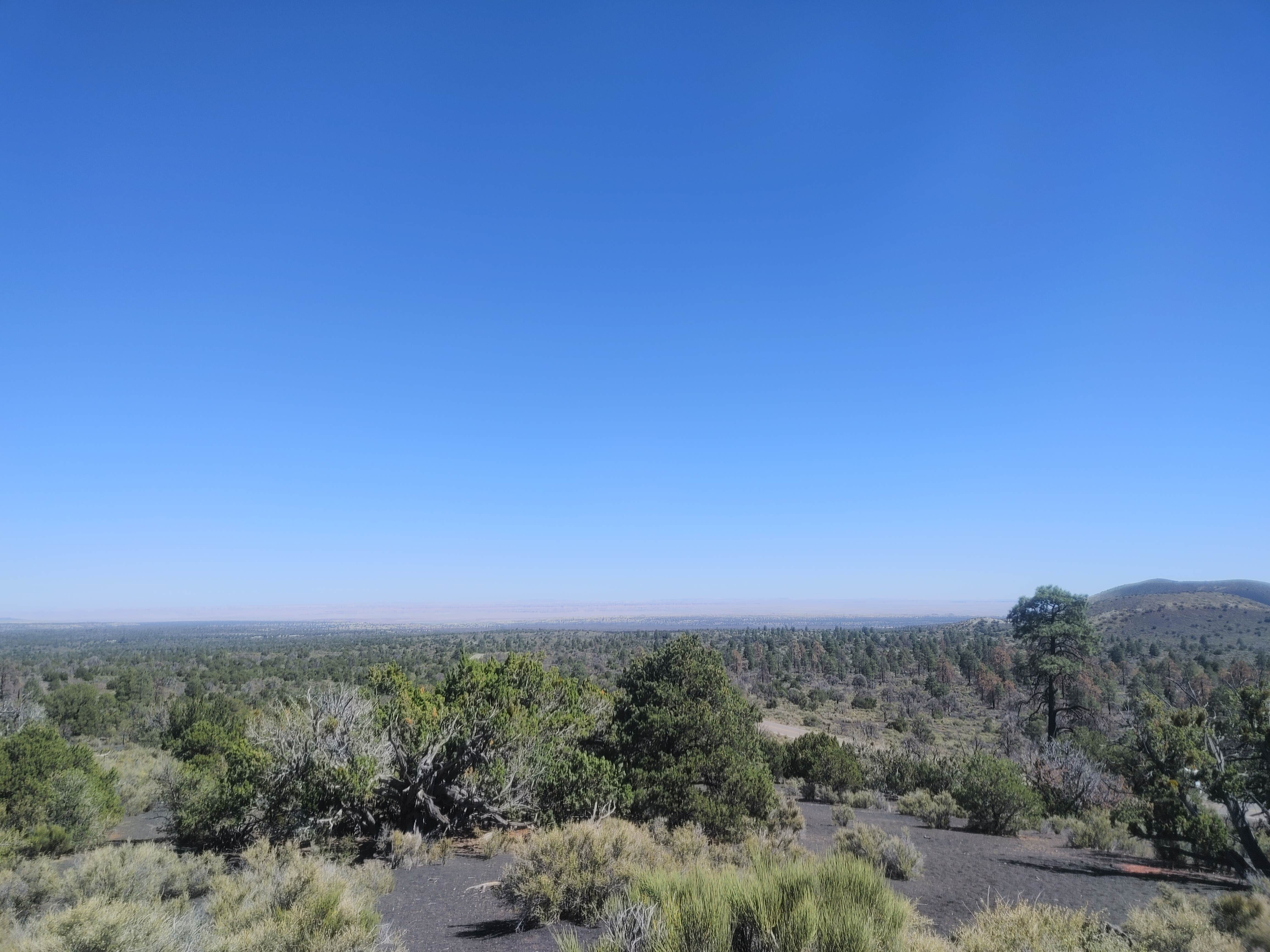 Brandon S.'s photo of a dispersed camping area at Forest Road 552 near Cameron, AZ