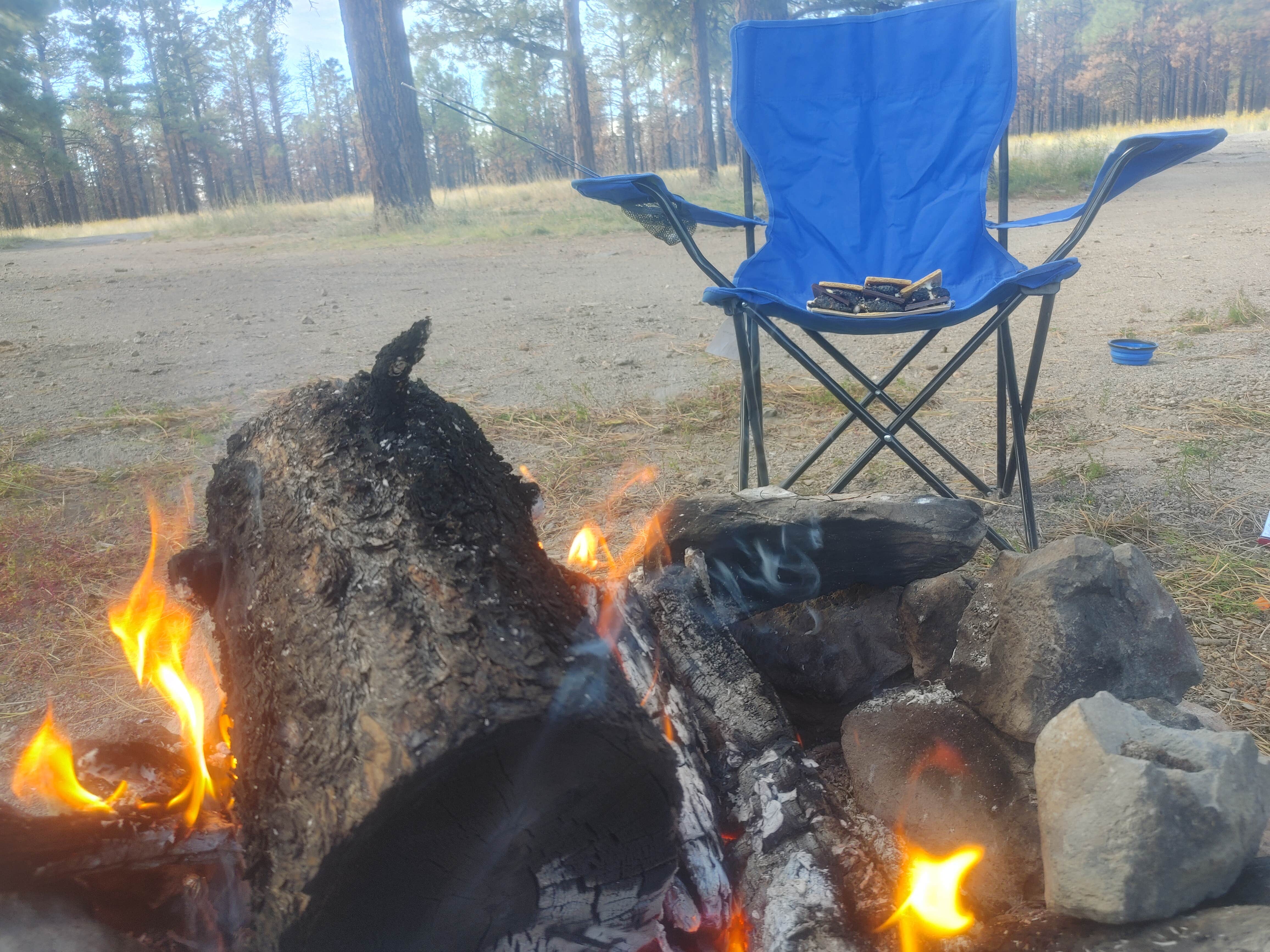 Camper submitted image from Forest Road 552 - 1