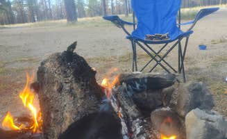 Brandon S.'s photo at Forest Road 552 near Gray Mountain, AZ