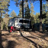 Review photo of Forest Road 568 - Dispersed Camping by Ty C., March 9, 2026