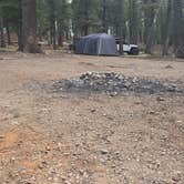 Review photo of Forest Road 568 - Dispersed Camping by Matthew W., March 7, 2026