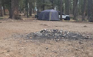 Matthew W.'s photo of a dispersed camping area at Forest Road 568 - Dispersed Camping near Capitan, NM