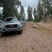 Review photo of Forest Road 568 - Dispersed Camping by Aly E., June 24, 2025
