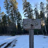 Review photo of Forest Road 568 - Dispersed Camping by Ty C., March 9, 2026