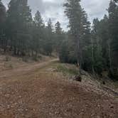 Review photo of Forest Road 568 - Dispersed Camping by Aly E., June 24, 2025