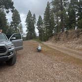 Review photo of Forest Road 568 - Dispersed Camping by Aly V., June 24, 2025