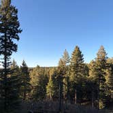 Review photo of Forest Road 568 - Dispersed Camping by Leila S., April 22, 2026