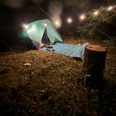 Review photo of Forest Road 5875 by Chris E., November 21, 2025