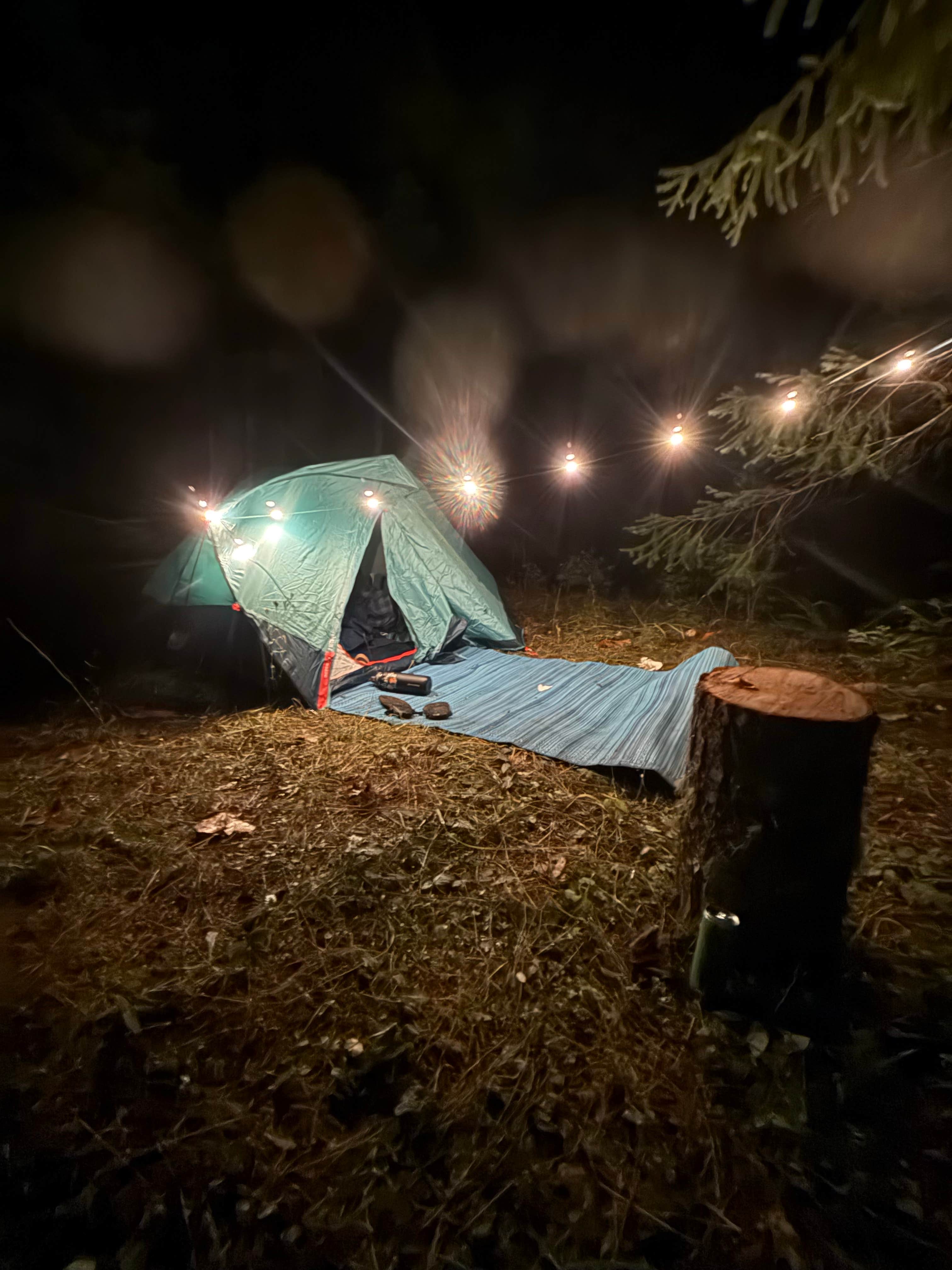 Camper submitted image from Forest Road 5875 - 1