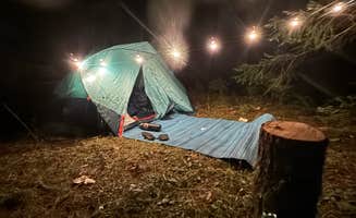 Chris E.'s photo of a dispersed camping area at Forest Road 5875 near Willamette National Forest