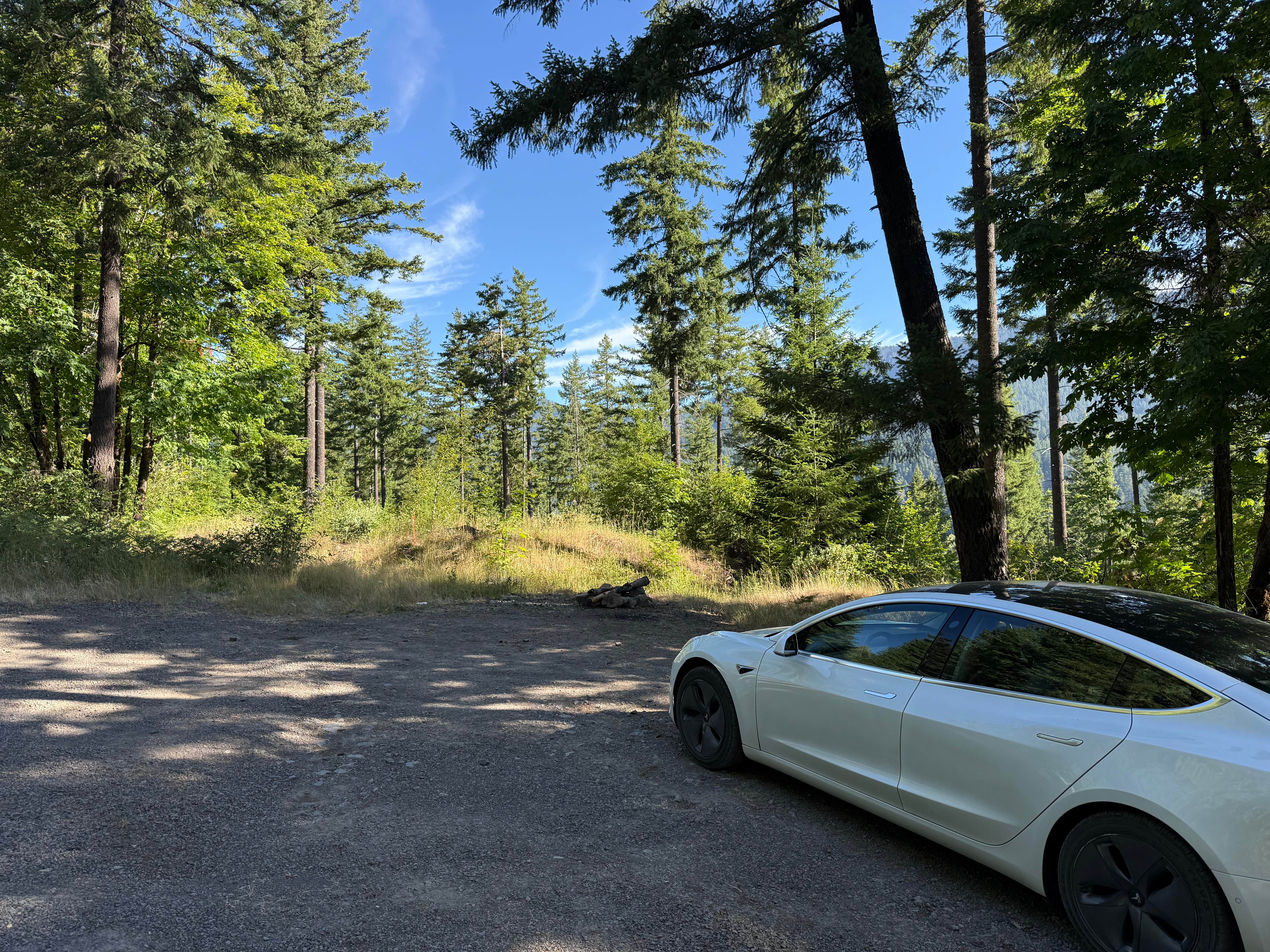 Camper-submitted photo at Forest Road 5875 near Dexter, OR