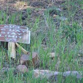 Review photo of Forest Road #604 Dispersed by johny R., July 14, 2025