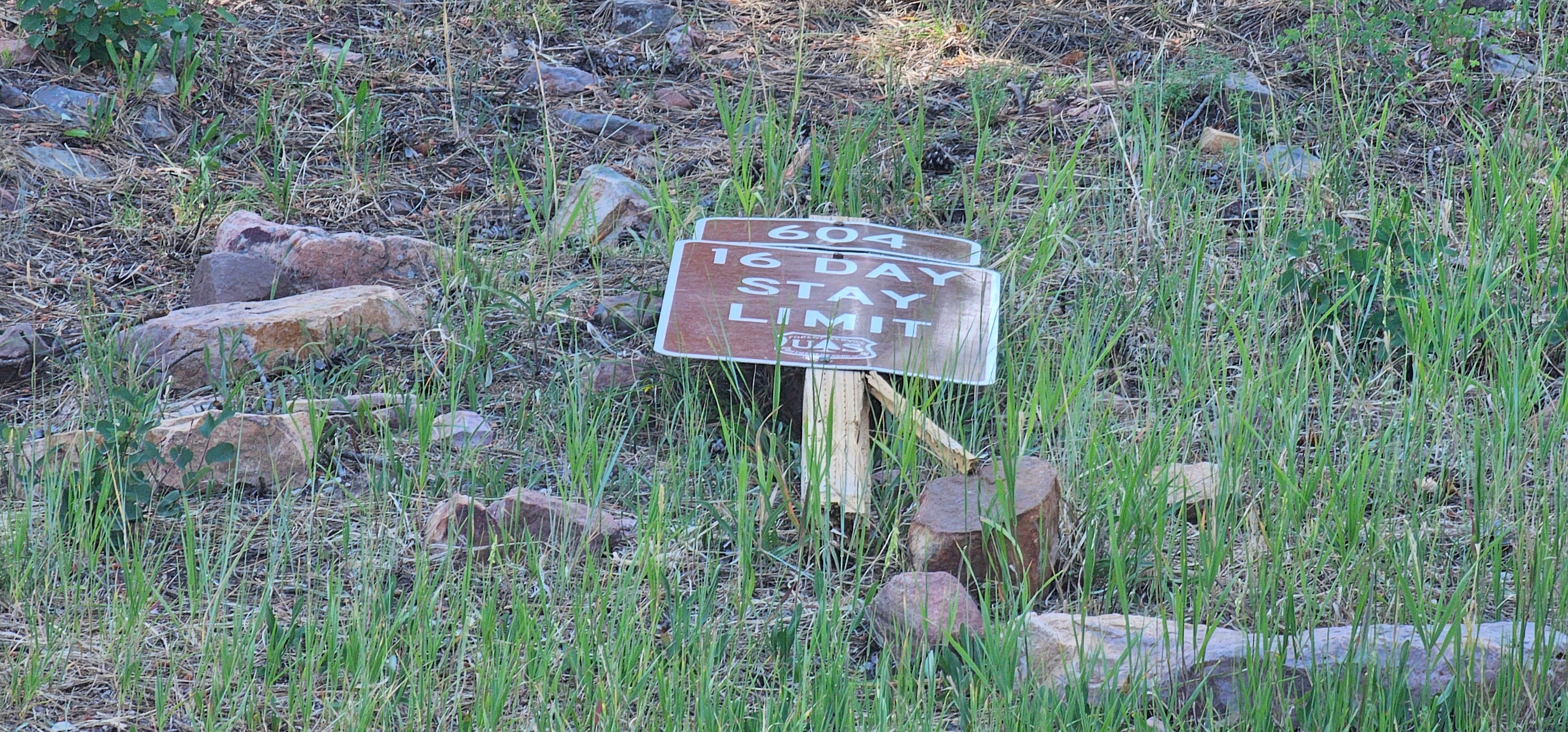 Camper submitted image from Forest Road #604 Dispersed - 5