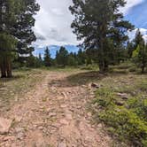 Review photo of Forest Road #604 Dispersed by Greg L., June 1, 2024