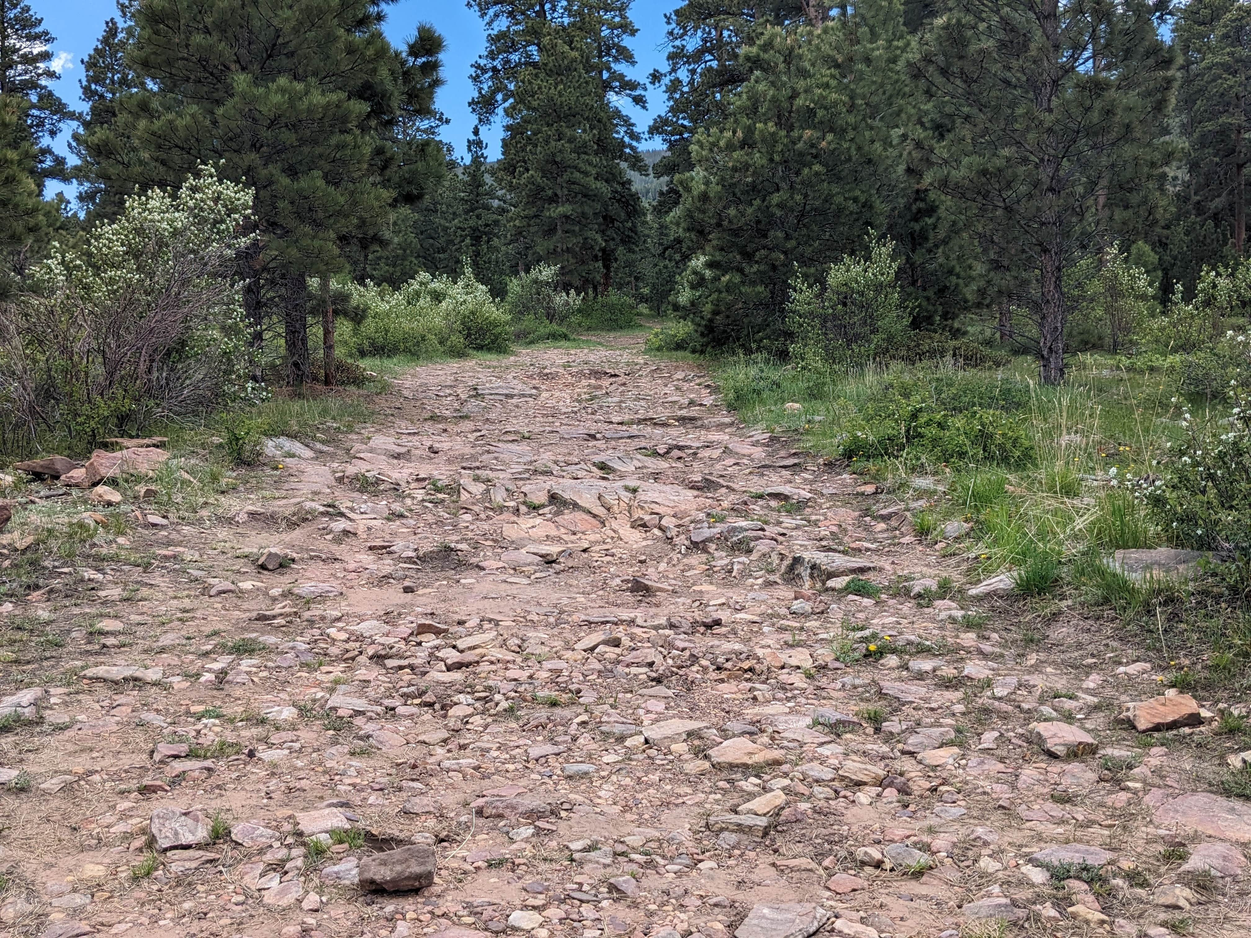 Camper-submitted photo at Forest Road #604 Dispersed near Flaming Gorge, UT
