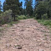 Review photo of Forest Road #604 Dispersed by Greg L., June 1, 2024