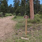 Review photo of Forest Road #604 Dispersed by Greg L., June 1, 2024