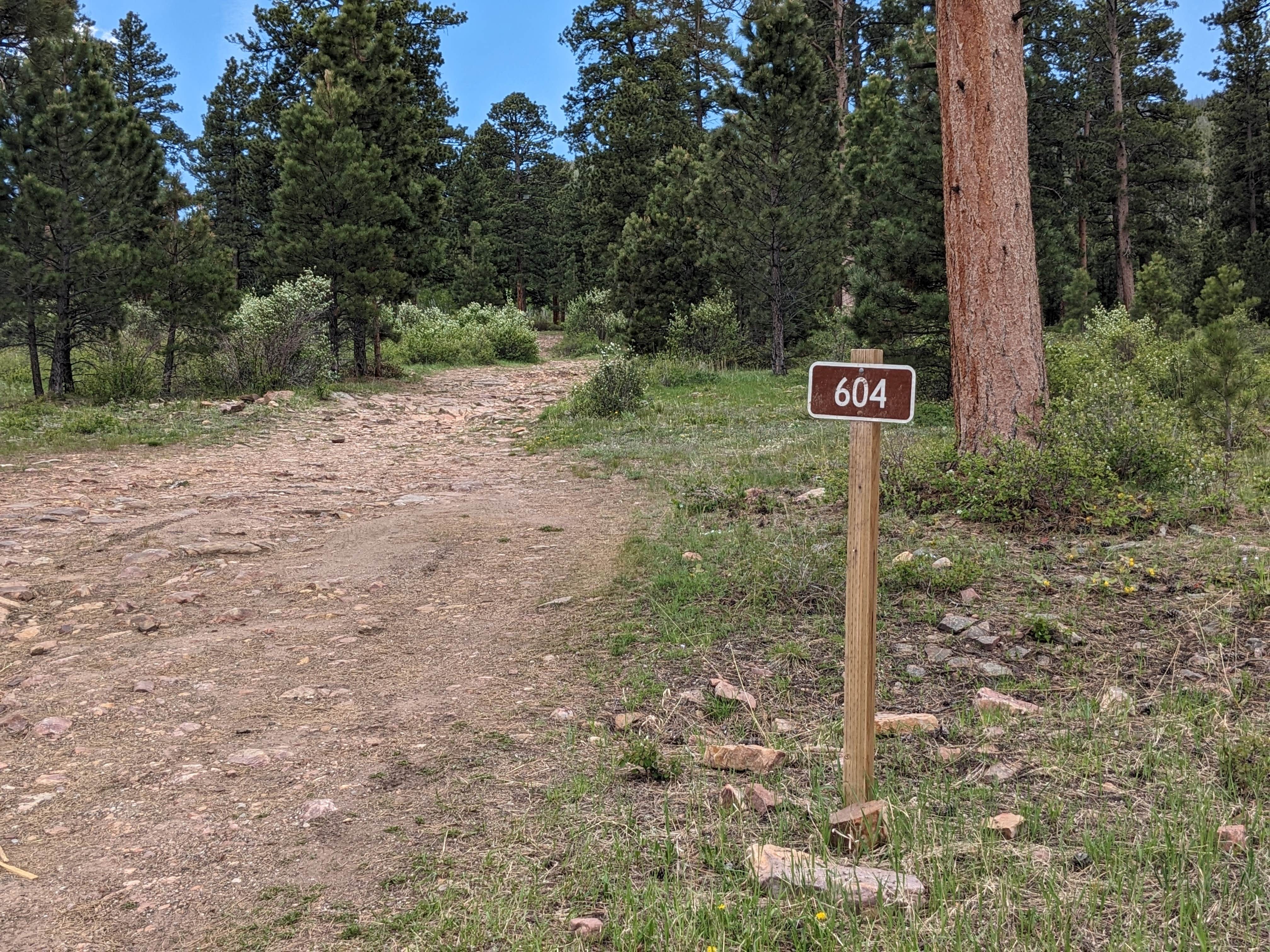 Camper submitted image from Forest Road #604 Dispersed - 2