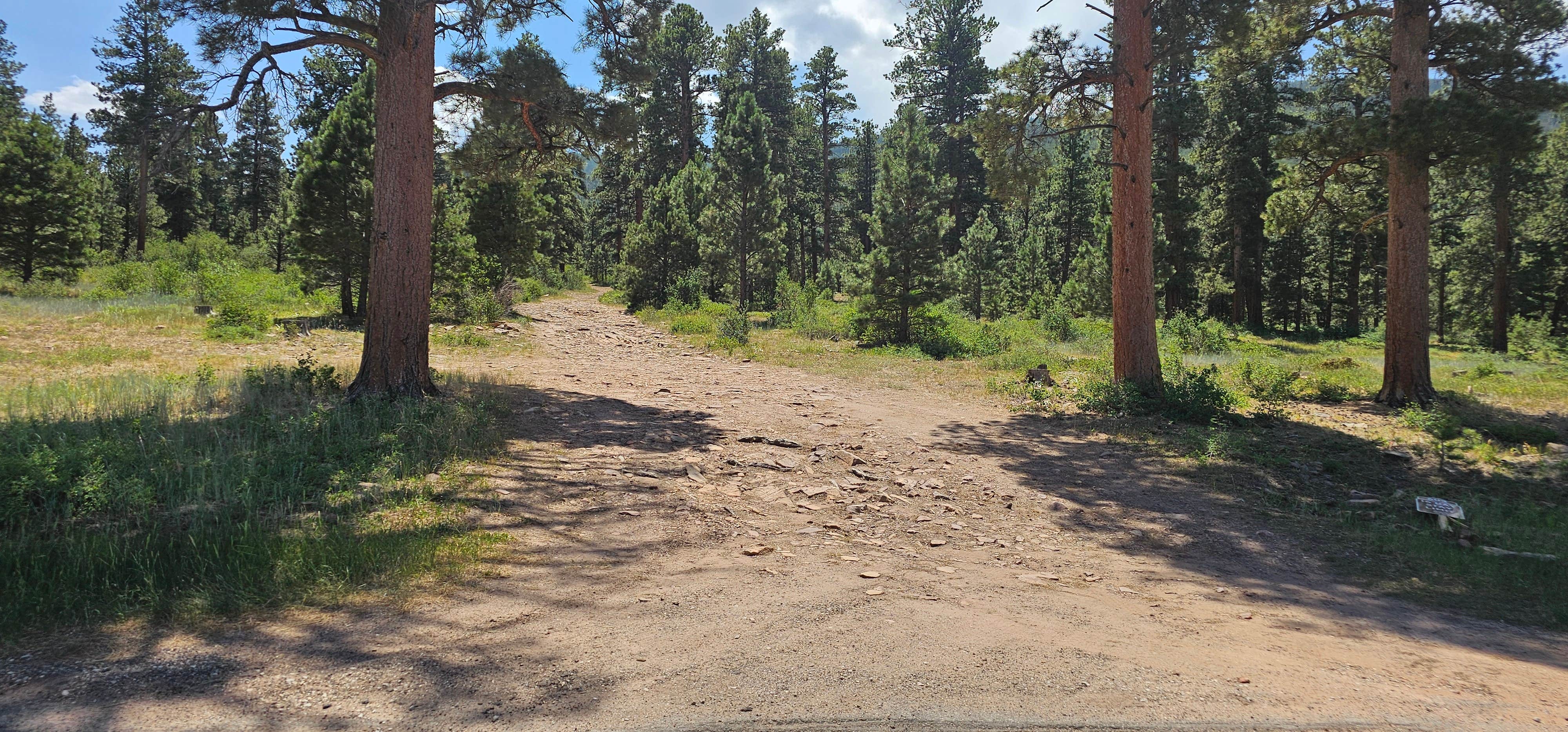 Camper-submitted photo at Forest Road #604 Dispersed near Flaming Gorge, UT