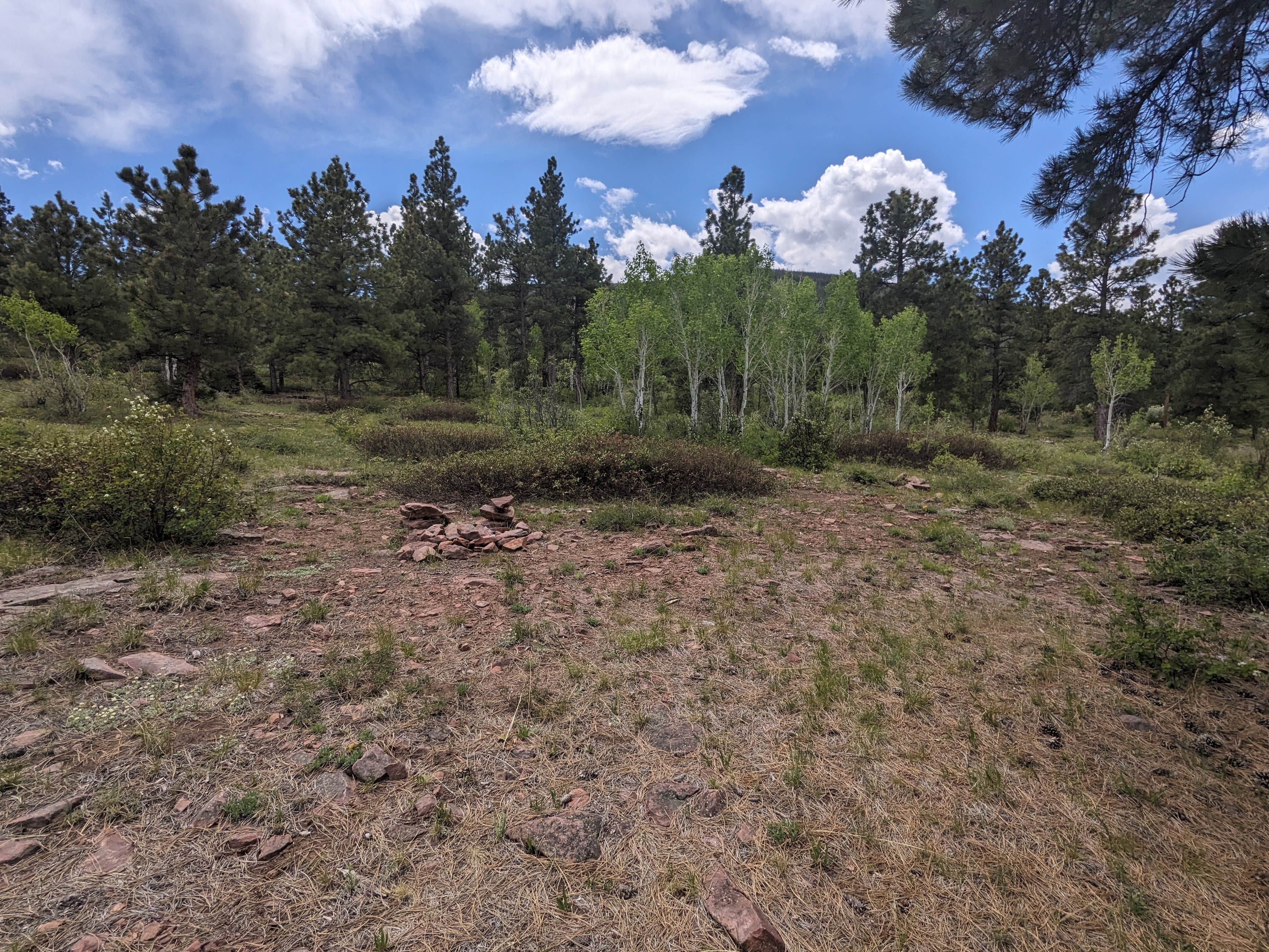 Camping near Forest Road #838 Dispersed Camping Area: Forest Road #604 Dispersed, Flaming Gorge, Utah