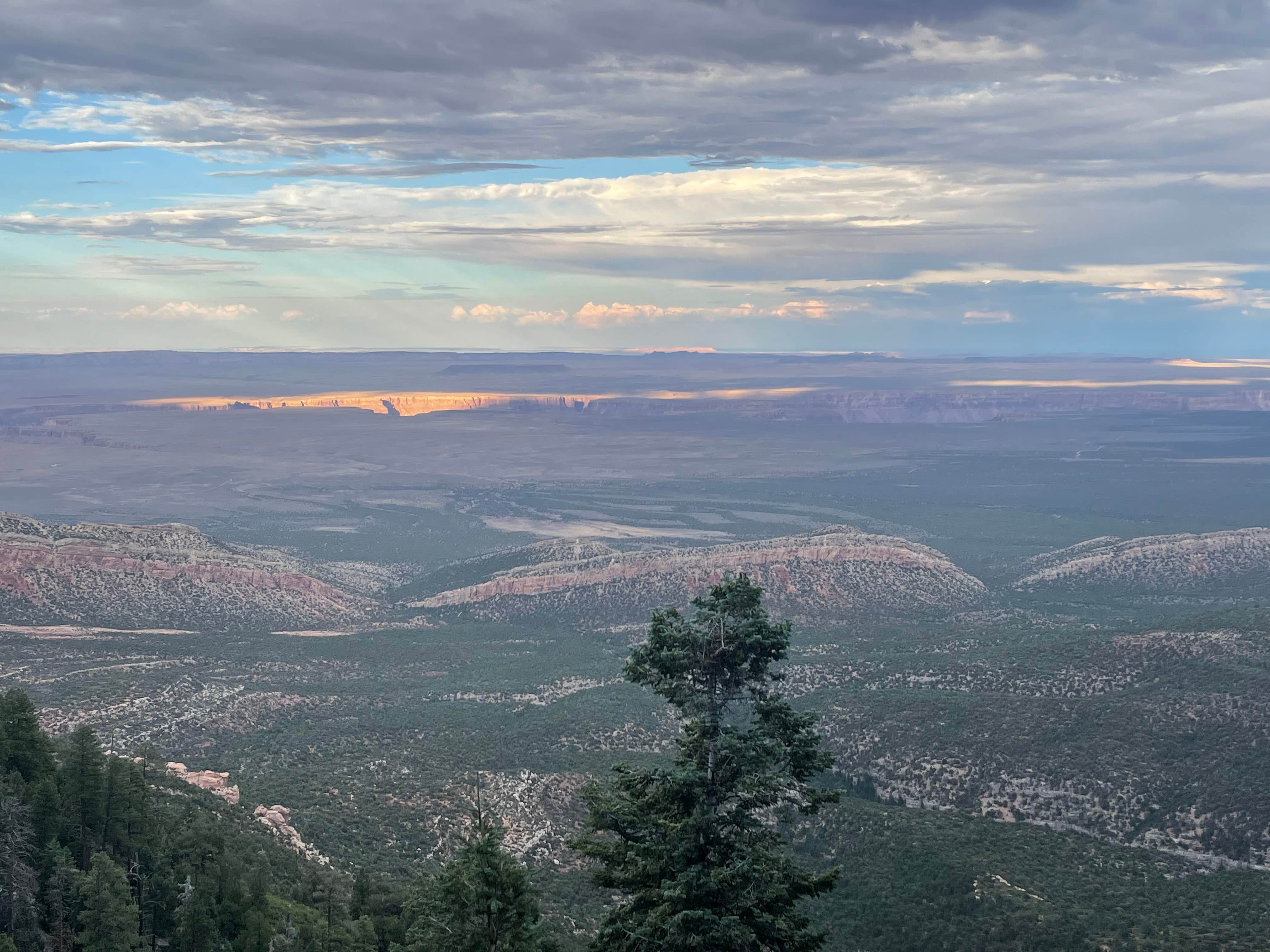 Ryan A.'s photo of a dispersed camping area at Forest Road 611 near Supai, AZ