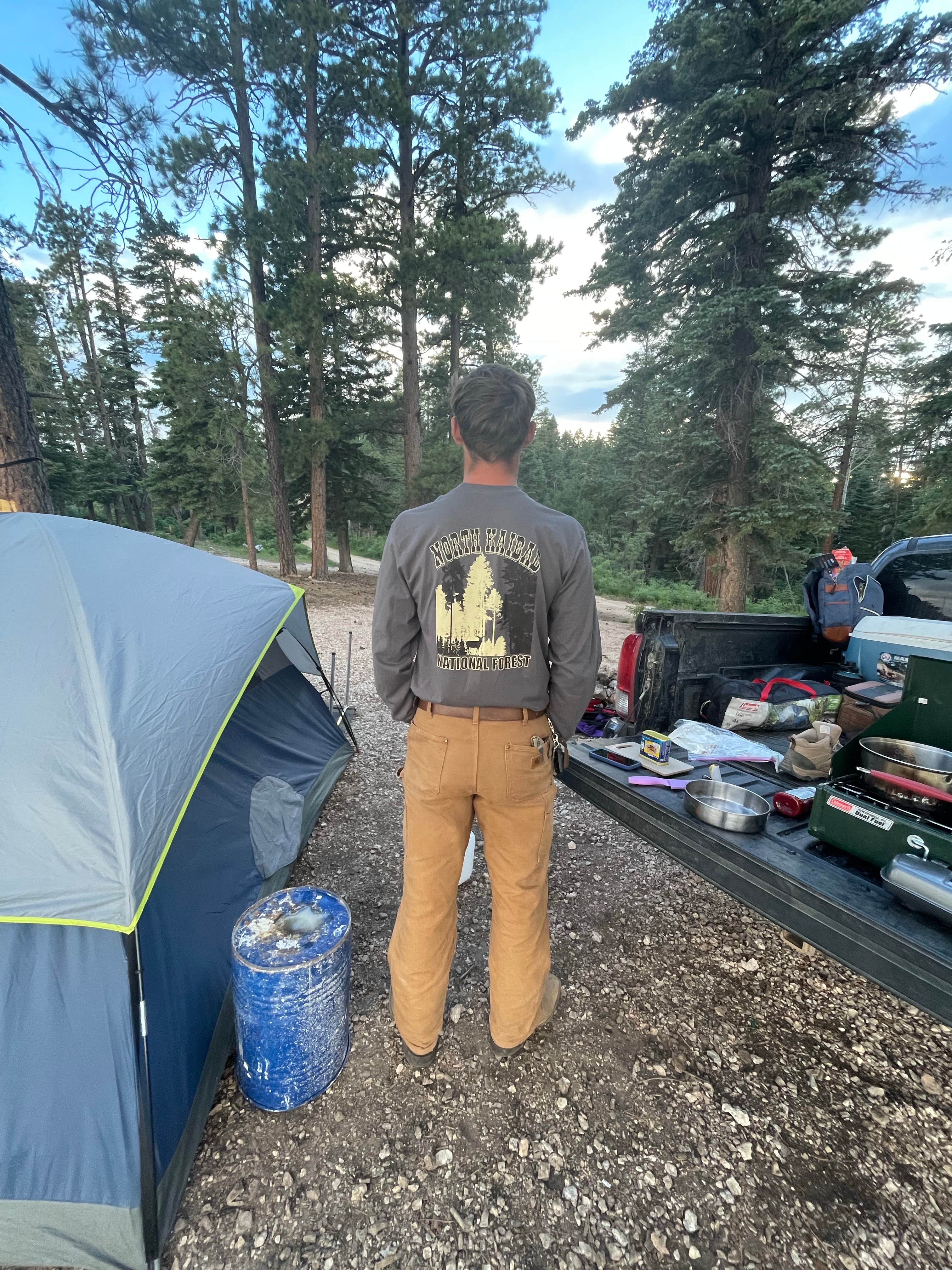 Camper-submitted photo at Forest Road 611 near Supai, AZ