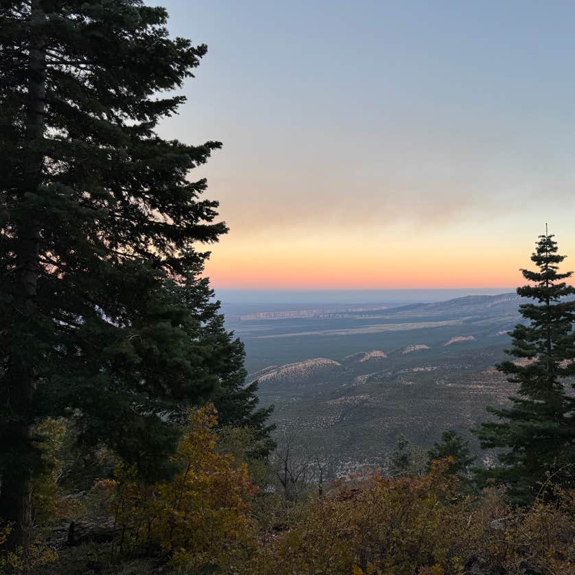 Forest Road 611 Camping | North Rim, AZ