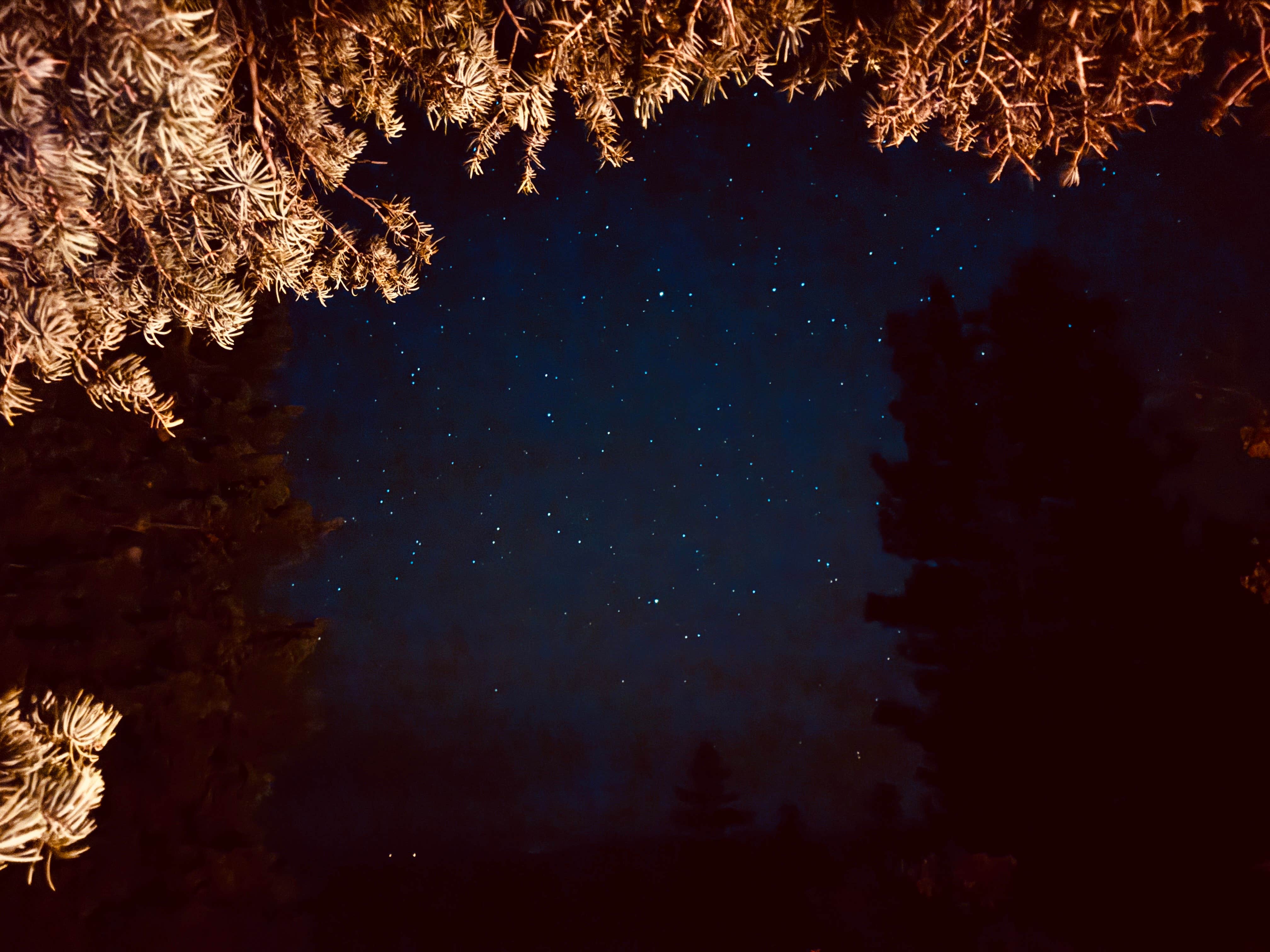 Sandra W.'s photo of a dispersed camping area at Forest Road 611 near Supai, AZ