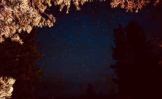 Sandra W.'s photo of a dispersed camping area at Forest Road 611 near Jacob Lake, AZ