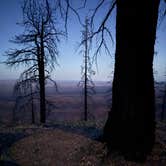 Review photo of Forest Road 611 by Kaidin A., June 21, 2026