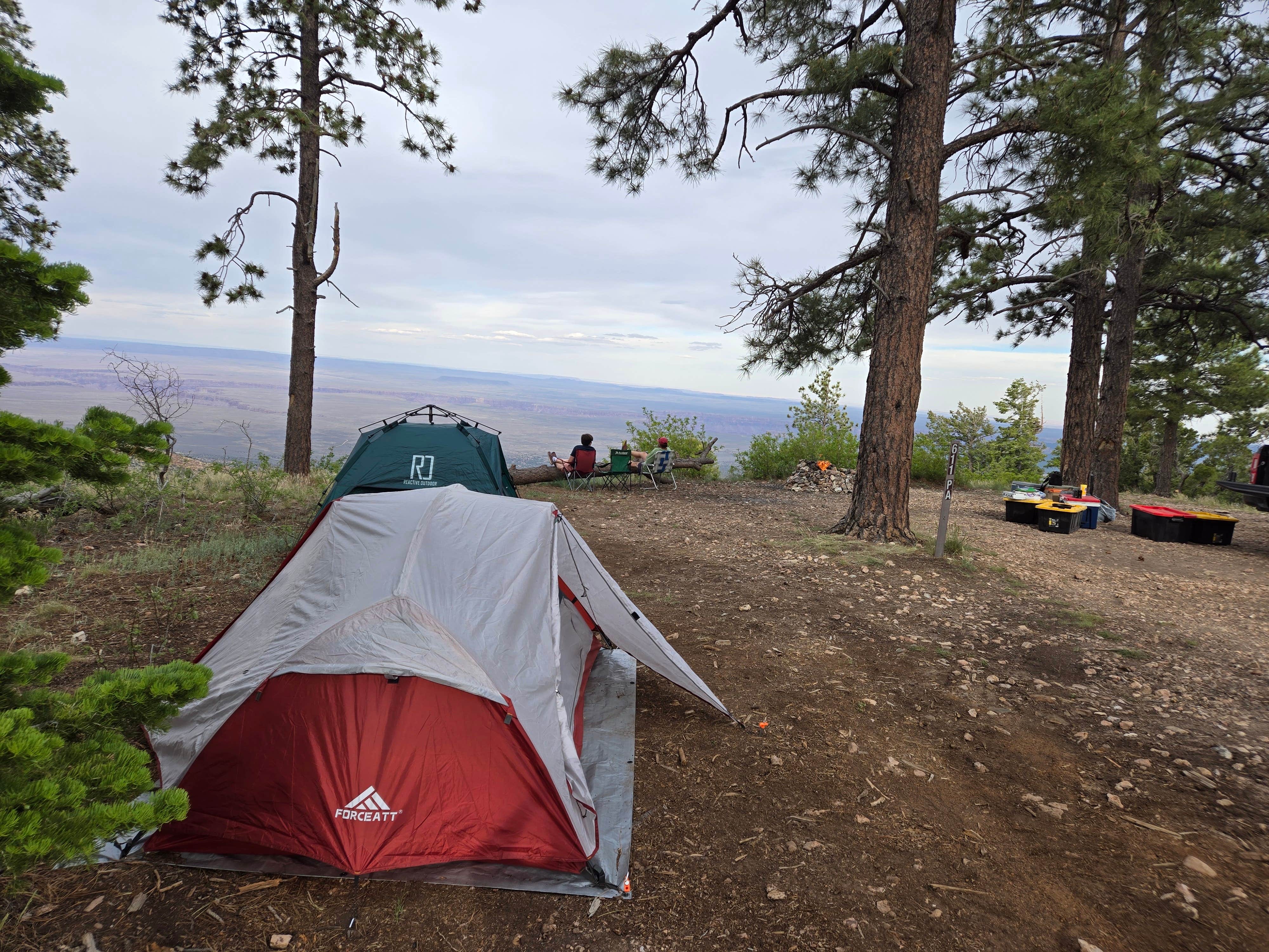 Daniel B.'s photo of a dispersed camping area at Forest Road 611 near Grand Canyon National Park
