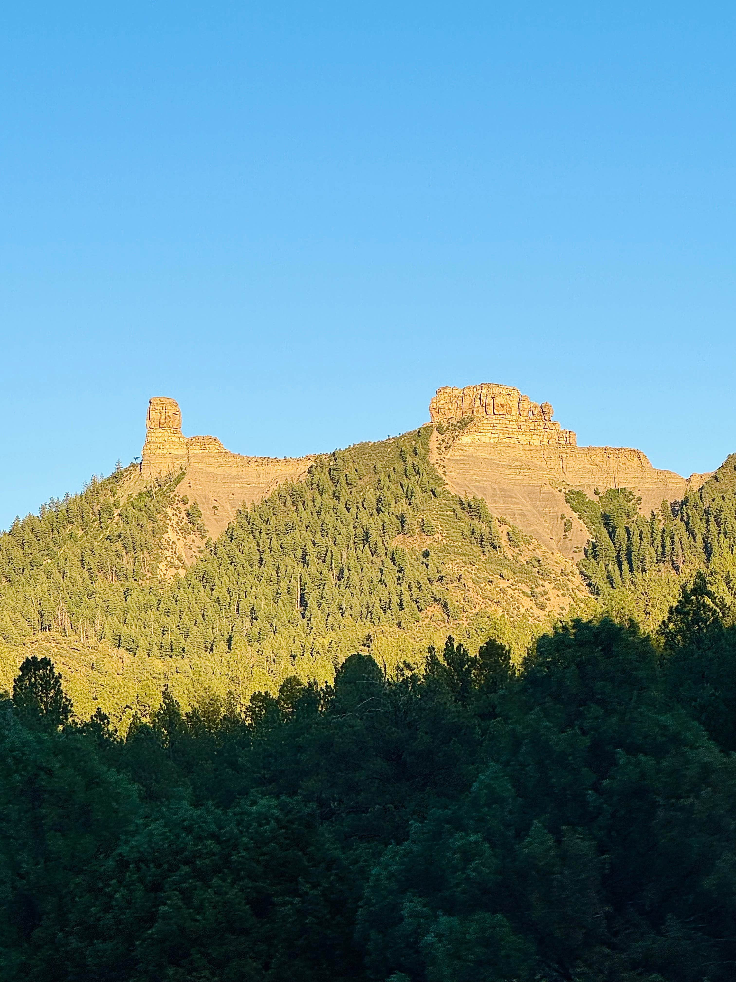 Camper-submitted photo at Forest Road 663 near Chromo, CO