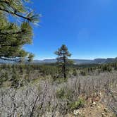 Review photo of Forest Road 663 by Chenoa B., May 11, 2026