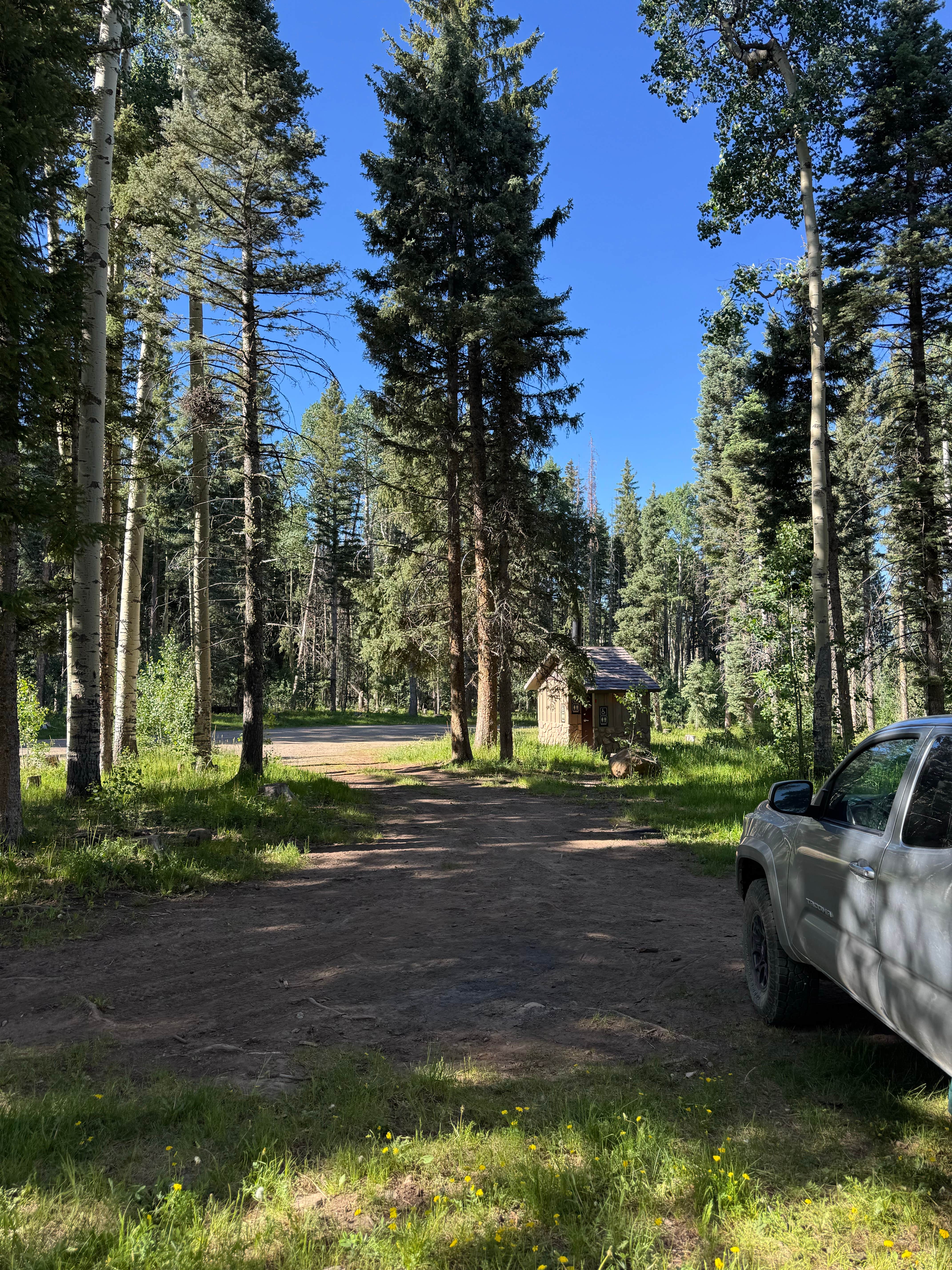 Camper-submitted photo at Forest Road 663 near Chromo, CO