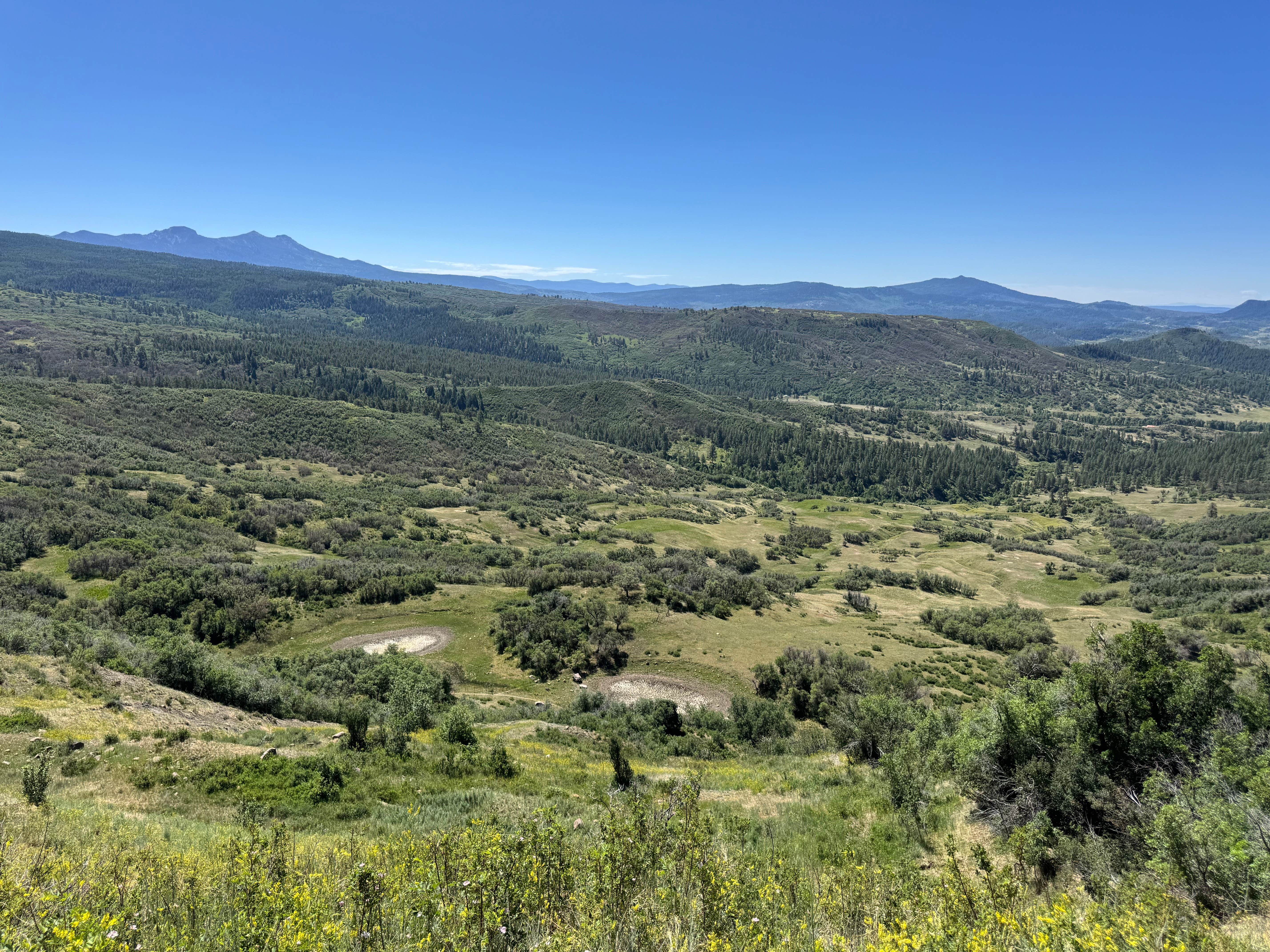 Camper-submitted photo at Forest Road 663 near Chromo, CO